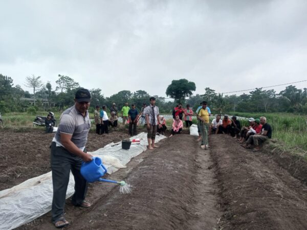 Tingkatkan Kualitas Tembakau Lokal, DKPP Kabupaten Blitar bersama BRMP TAS Berikan Bimtek untuk Petani