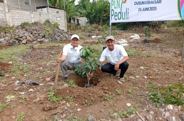 Lewat Program TJSL 2025, PLN UPDL Pandaan Hijaukan Dusun Lebaksari dengan Pohon Buah