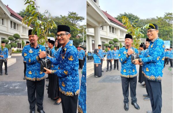 Wujudkan Ngalam Seger, DLH Kota Malang Distribusikan Pohon Buah kepada 57 Kelurahan