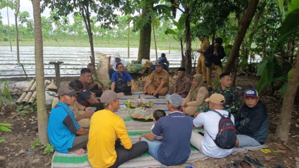 Perhutani Tidak Hadir Langsung, Saresehan Penentuan Lokasi KDKMP Desa Satak Tetap Digelar