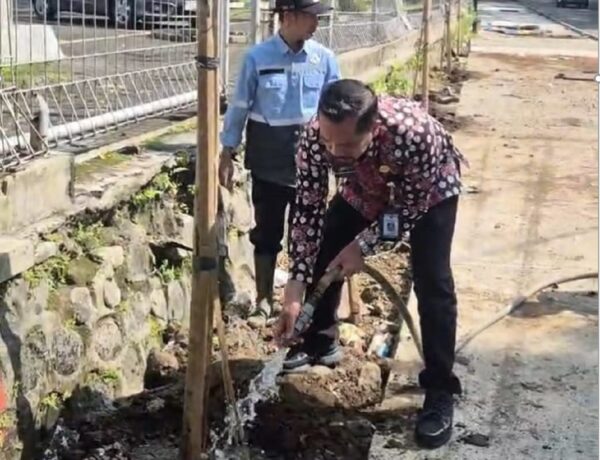 Kembalikan RTH Publik, DLH Kota Malang Tanam 40 Pohon Tabebuya di Koridor Suhat