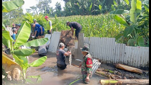 Babinsa Ramil 02/Pesantren Sertu Mulyono Resik-resik Sungai Pulerejo bersama Poktan