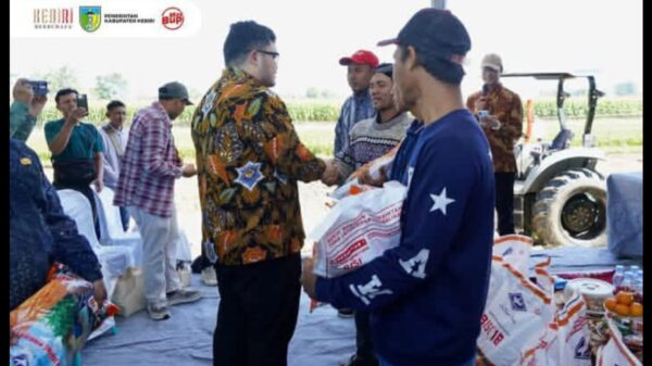 Mas Dhito Bantu Petani 200 Ton Benih Jagung Hingga Kepastian Harga Pasca Panen